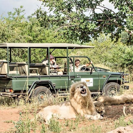 Elandela Private Game Reserve And Luxury Lodges Pty Ltd Hoedspruit Exteriör bild